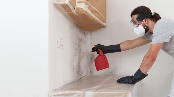 Professional Mold Testing technician working in Long Beach, NY